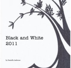 Black and White 2011 book cover