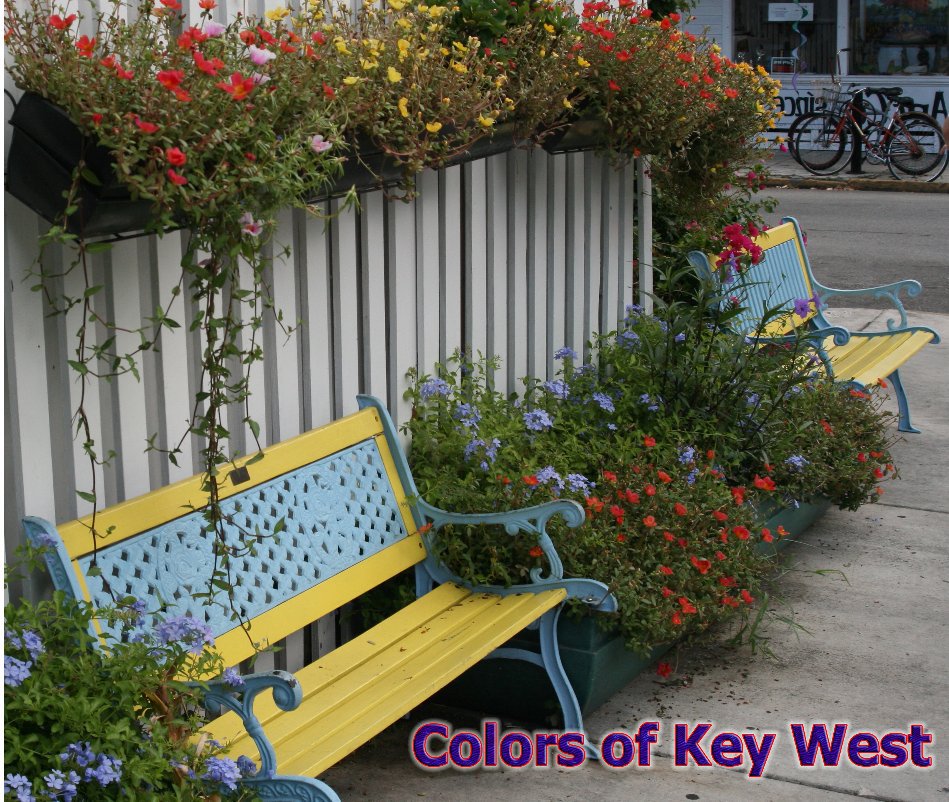 Ver Colors of Key West (13x11) por Stephen Walker