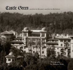 Castle Green book cover