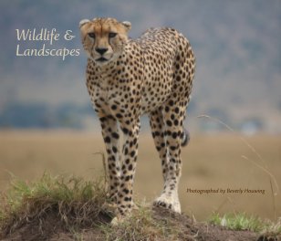 Wildlife & Landscapes - Softcover book cover