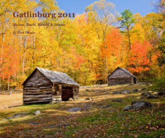 Gatlinburg 2011 book cover
