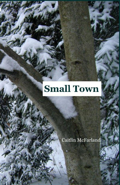 Ver Small Town por Caitlin McFarland