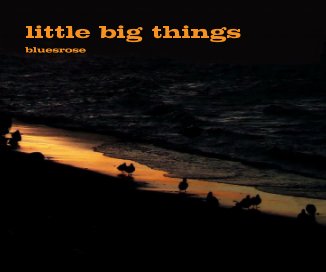 little big things book cover