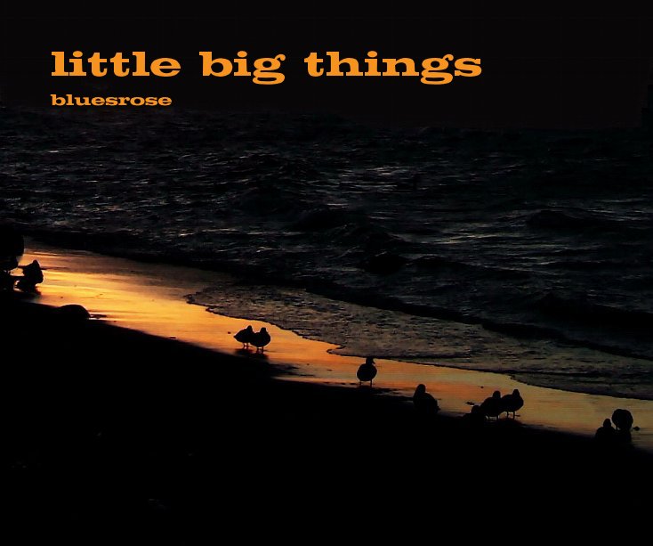 Visualizza little big things di Bluesrose