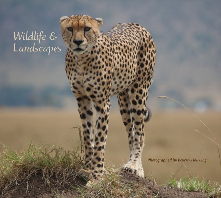 View Wildlife & Landscapes - Image Wrap by Beverly Houwing