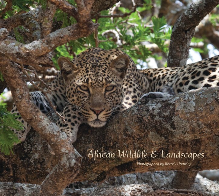 View African Wildlife & Landscapes - Image Wrap by Beverly Houwing