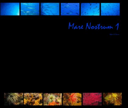 Mare Nostrum 1 book cover