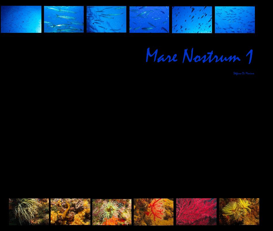 View Mare Nostrum 1 by Stefano Di Marino