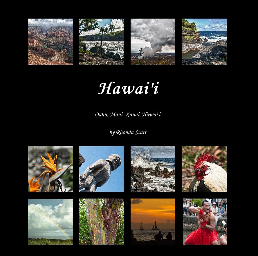 View Hawai'i by Rhonda Starr