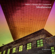 Nestor's Designs 2011 Instagrams
Micellaneous book cover