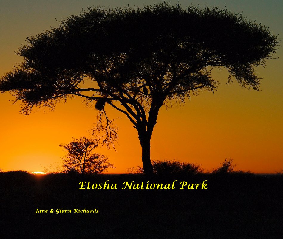 View Etosha National Park by Jane & Glenn Richards