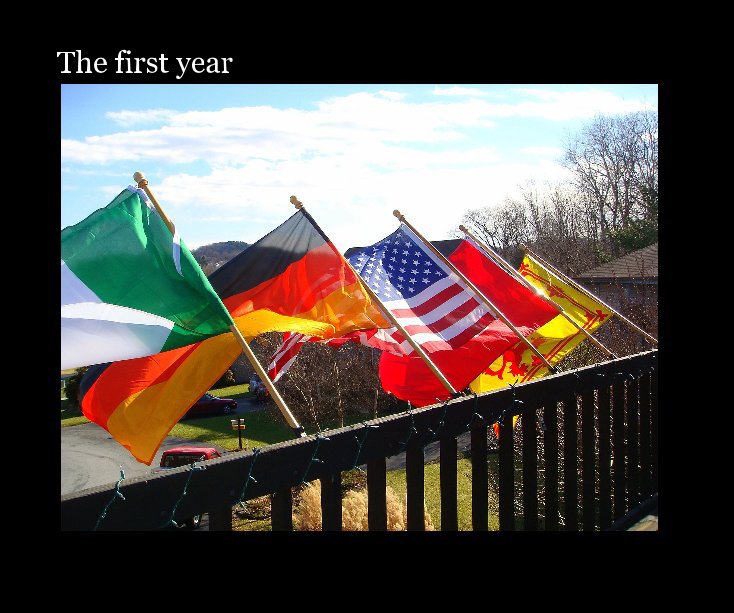 View The first year by SUSANNE MORRISON