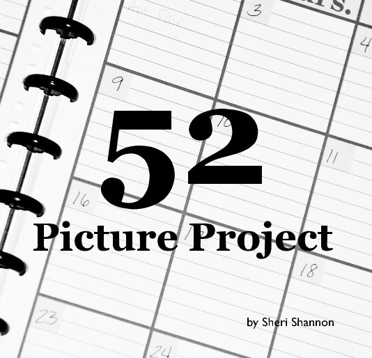 Ver 52 Picture Project por Sheri Shannon