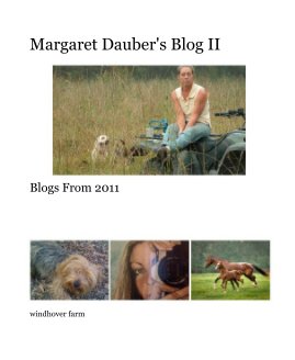 Margaret Dauber's Blog II book cover