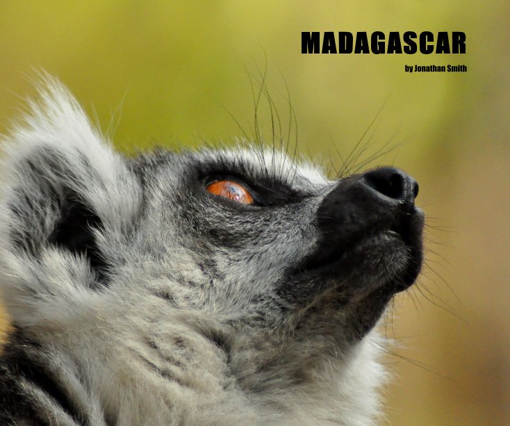 View MADAGASCAR by Jonathan Smith