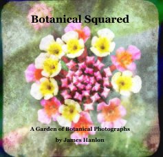 Botanical Squared book cover