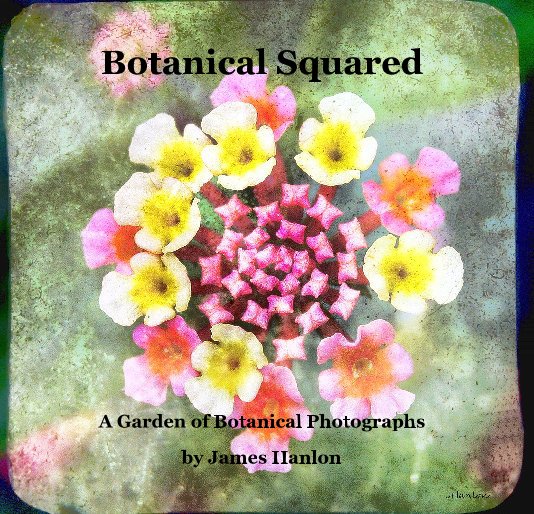 Ver Botanical Squared por James Hanlon