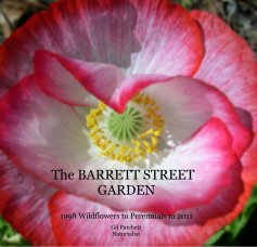 The BARRETT STREET GARDEN book cover