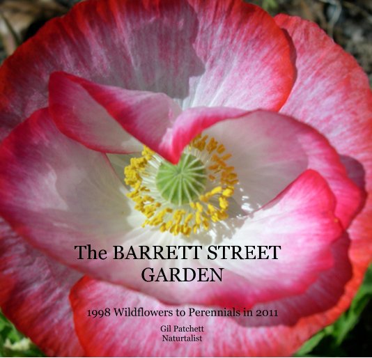 Ver The BARRETT STREET GARDEN por Gil Patchett Naturtalist