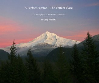 A Perfect Passion - The Perfect Place book cover