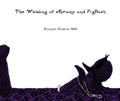 The Wedding of sKrump and FigBash book cover