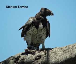 Kichwa Tembo book cover