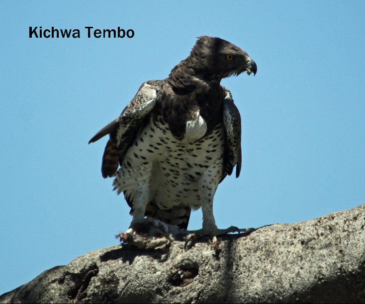 View Kichwa Tembo by knoyce