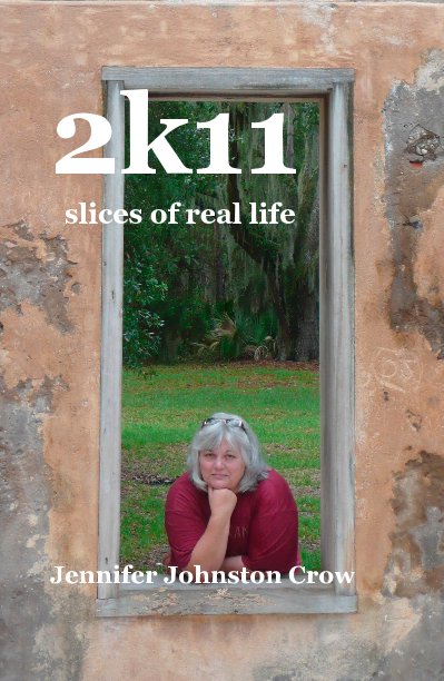 View 2k11 slices of real life by Jennifer Johnston Crow