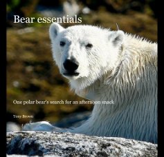 Bear essentials book cover