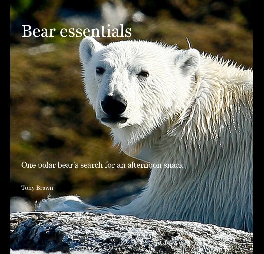 View Bear essentials by Tony Brown