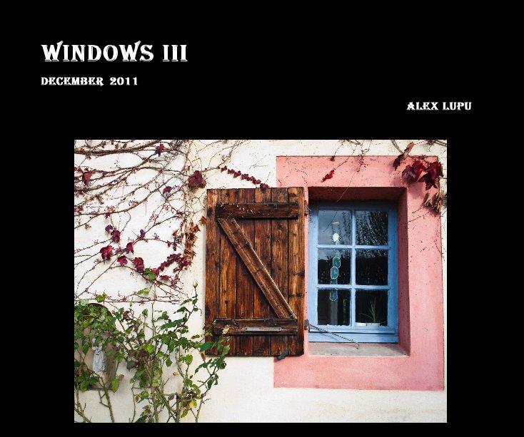 View Windows III by Alex Lupu