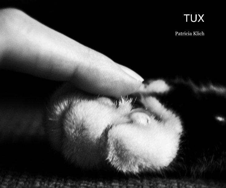 Ver TUX por Patricia Klich