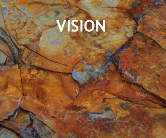 VISION book cover