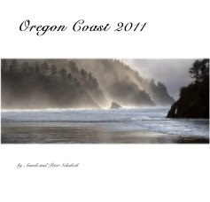 Oregon Coast 2011 book cover