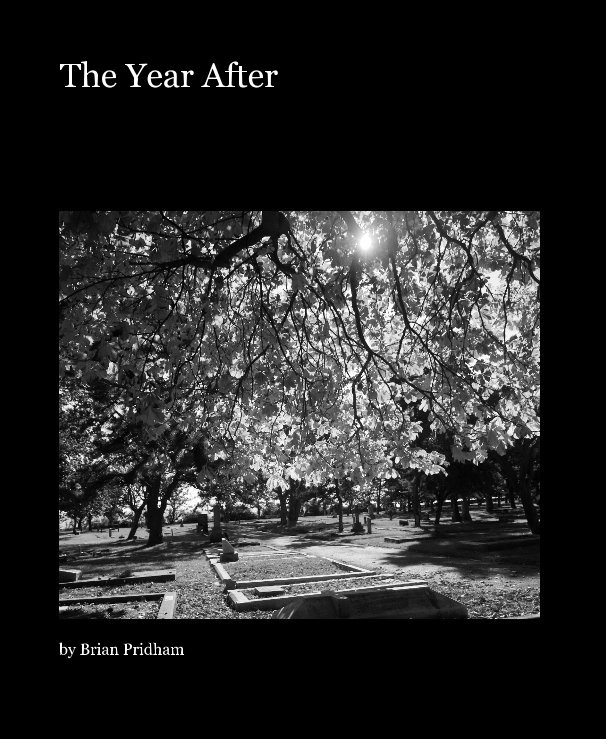 View The Year After by Brian Pridham