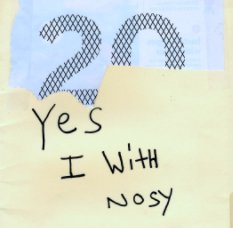 Yes I With Nosy book cover