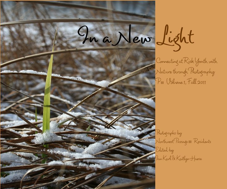 Ver In a New Light por Photographs by Northwest Passage III Residents Edited by Ian Karl & Kaitlyn Haese