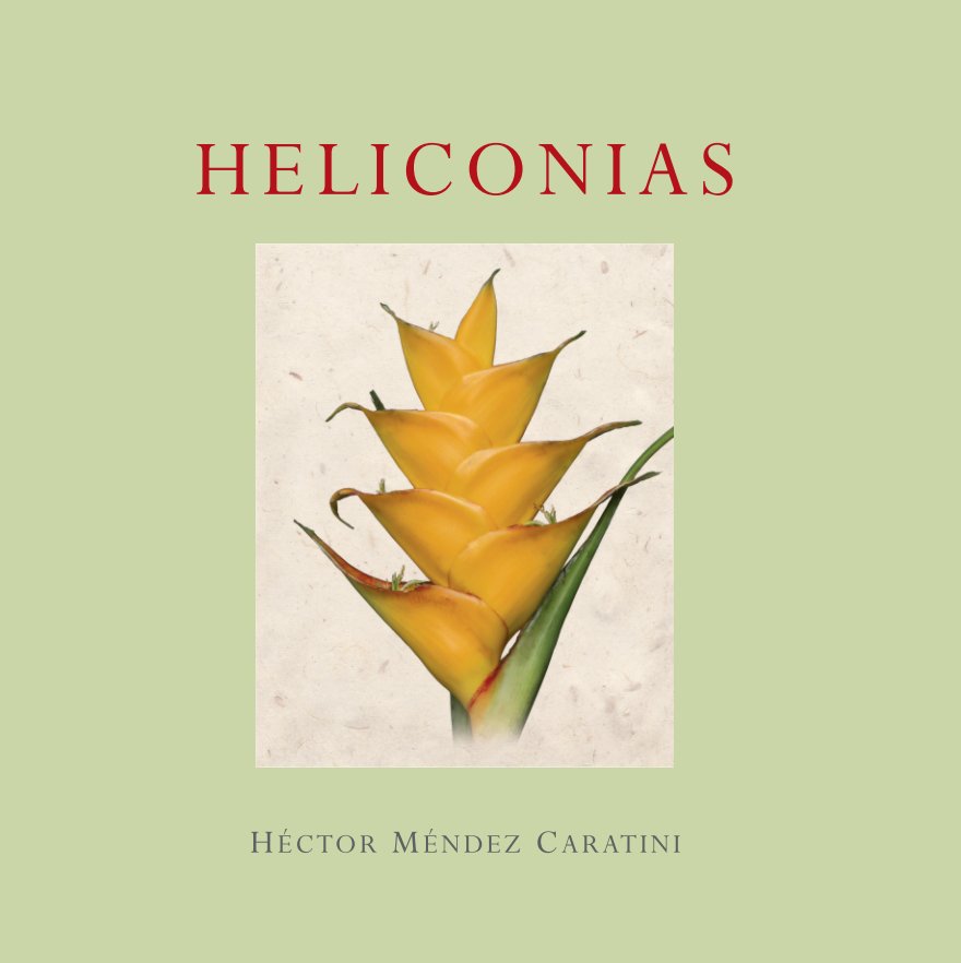 View Heliconias by Hector Mendez Caratini