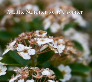 A Little Summer for the Winter book cover