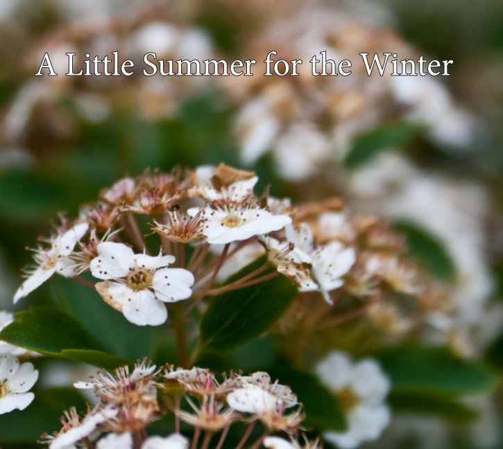 Bekijk A Little Summer for the Winter op Stephen Cotton