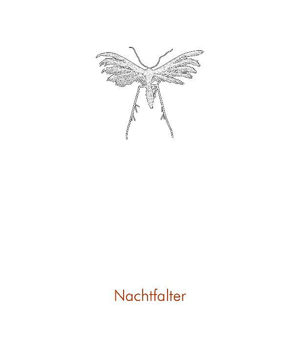 View Nachtfalter by Fritz Fabert