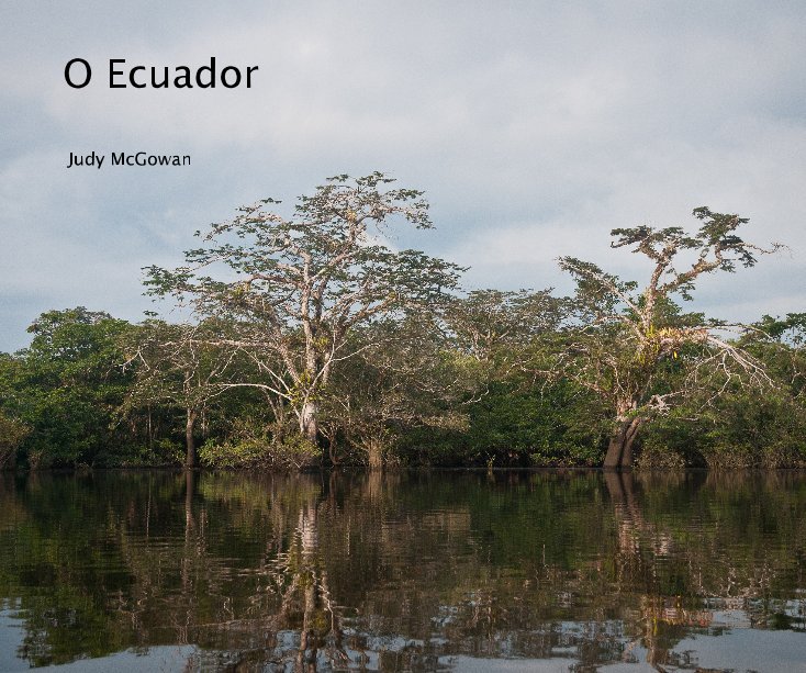 View O Ecuador by Judy McGowan