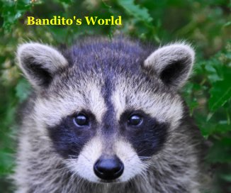 Bandito's World book cover