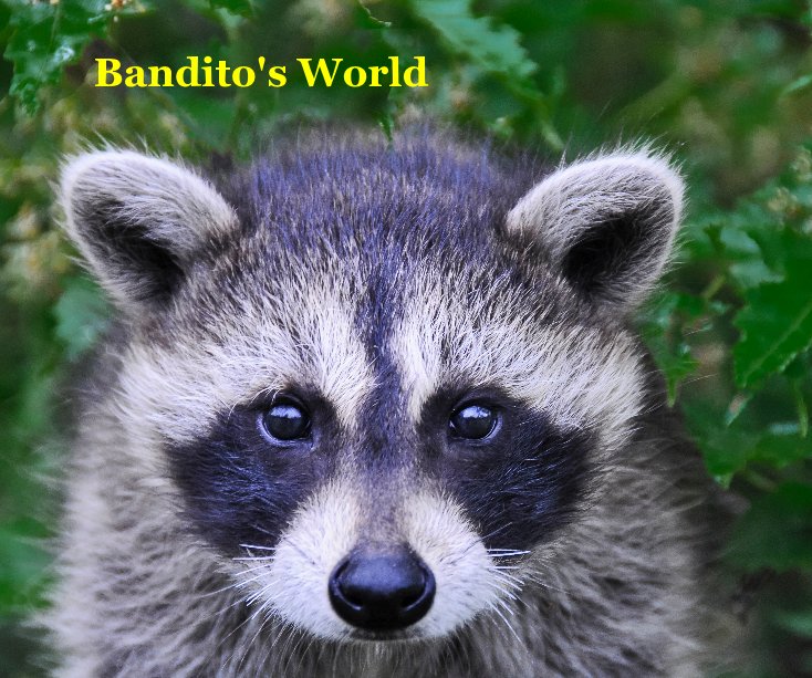 View Bandito's World by westerho