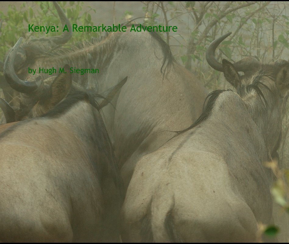Ver Kenya: A Remarkable Adventure por Hugh M. Siegman