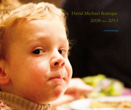 David Michael Bourque 2008 thru 2011 book cover