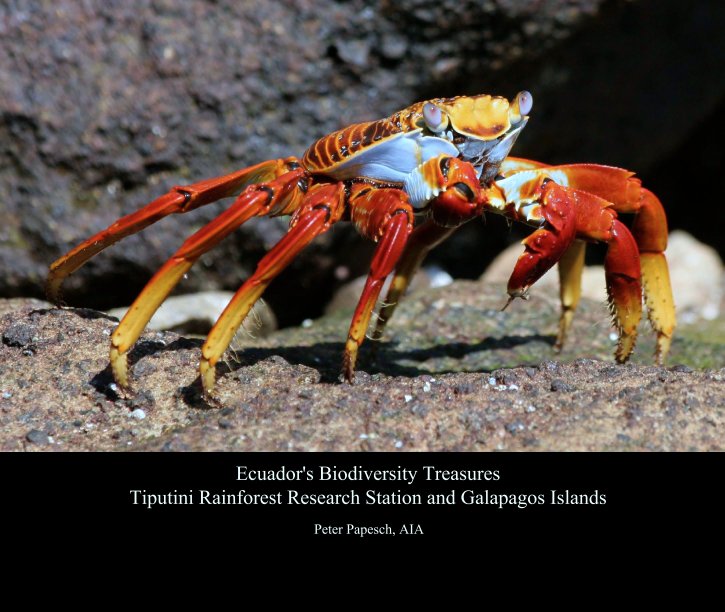 View Ecuador's Biodiversity Treasures
Tiputini Rainforest Research Station and Galapagos Islands by Peter Papesch, AIA