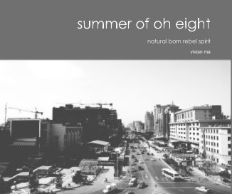summer of oh eight book cover