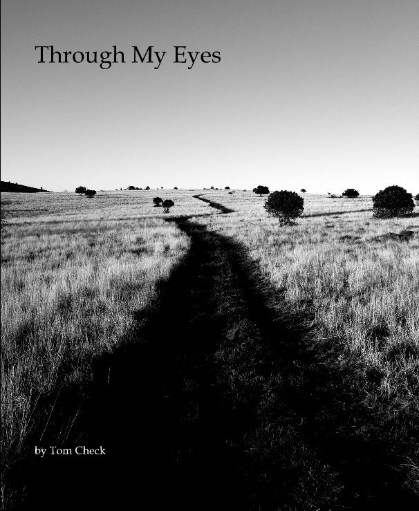 View Through My Eyes by Tom Check