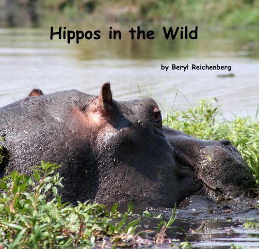 View Hippos in the Wild by Beryl Reichenberg